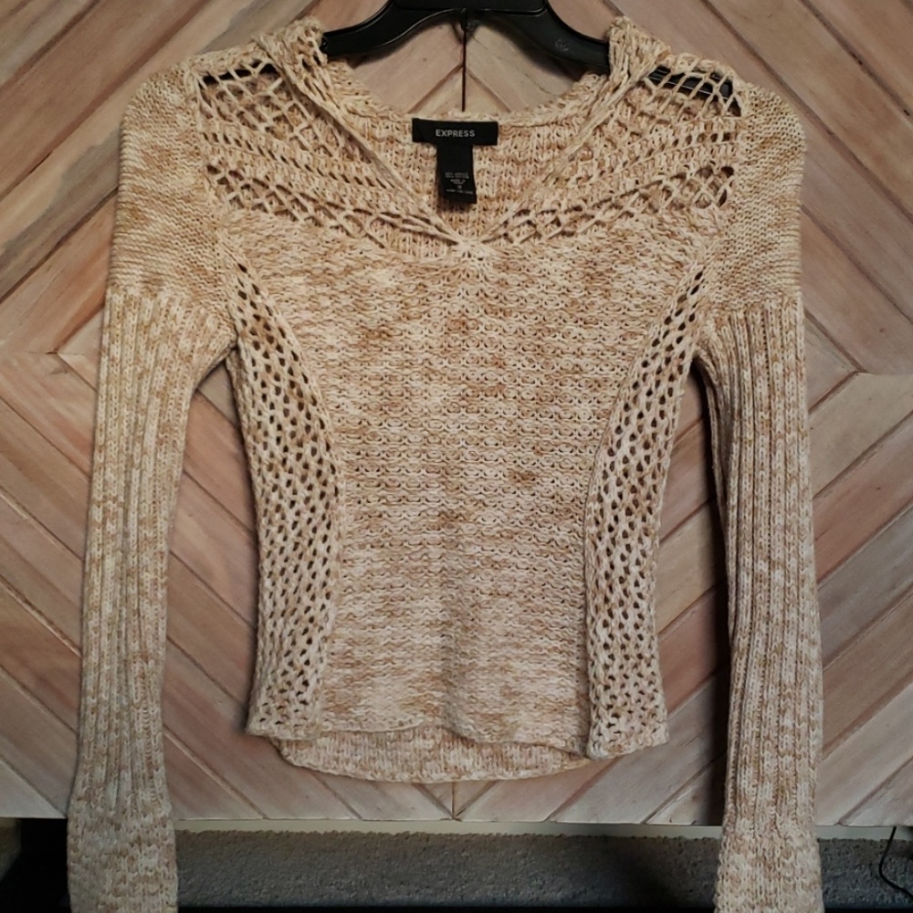 Express Sweater w/ Hoodie